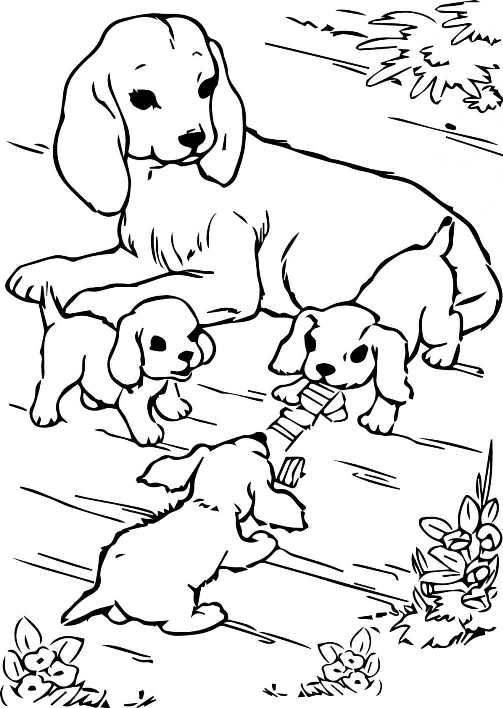 Dog Coloring Pages for Kids. Print Them Online for Free!