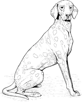 Dog Coloring Pages for Kids. Print Them Online for Free!