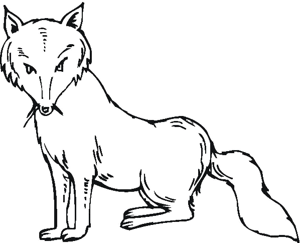 Fox coloring pages. For kids.