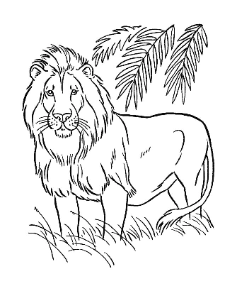 A large collection of coloring pages for boys 10 years old