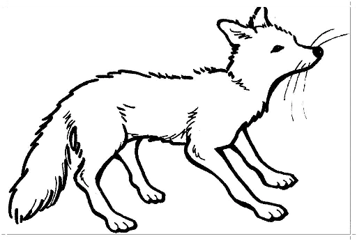 Fox coloring pages. For kids.