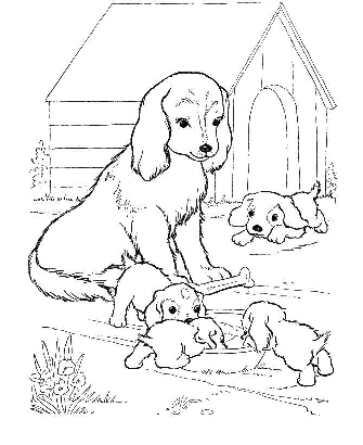 Dog Coloring Pages for Kids. Print Them Online for Free!