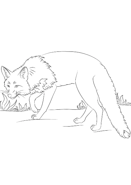 Fox coloring pages. For kids.