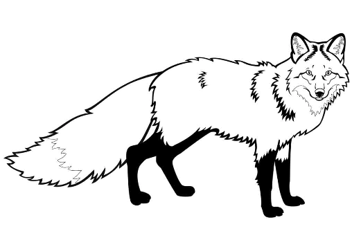 Fox coloring pages. For kids.