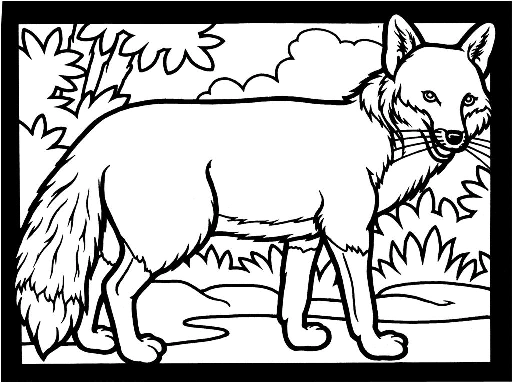 Fox coloring pages. For kids.