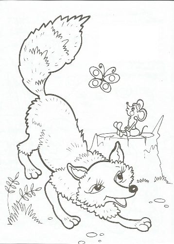 Fox coloring pages. For kids.