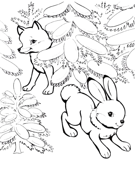 Fox coloring pages. For kids.