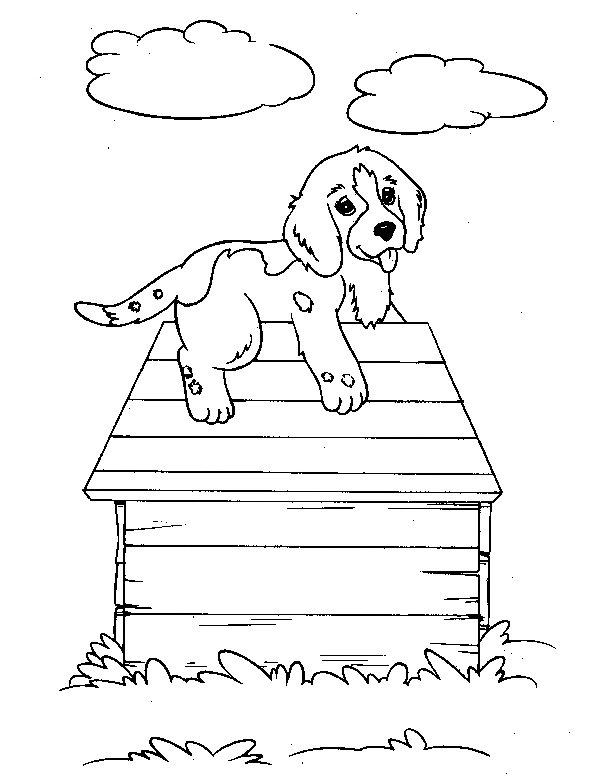 Dog Coloring Pages for Kids. Print Them Online for Free!