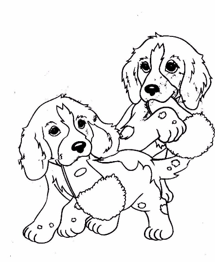 Dog Coloring Pages for Kids. Print Them Online for Free!