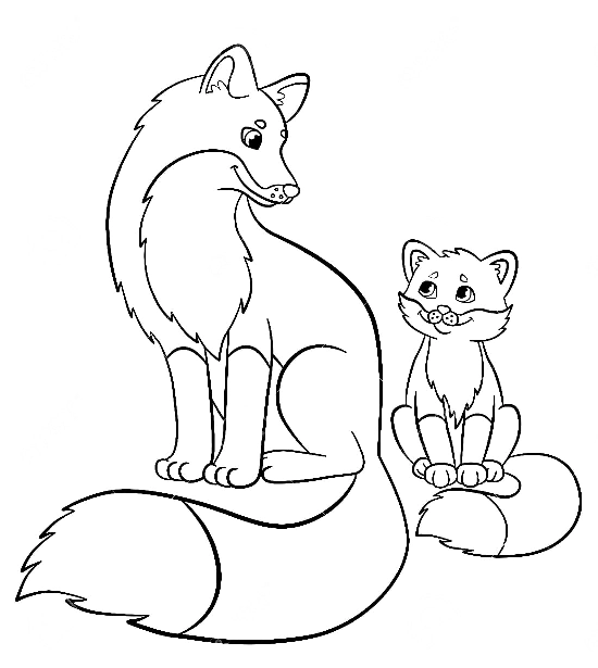 Fox coloring pages. For kids.