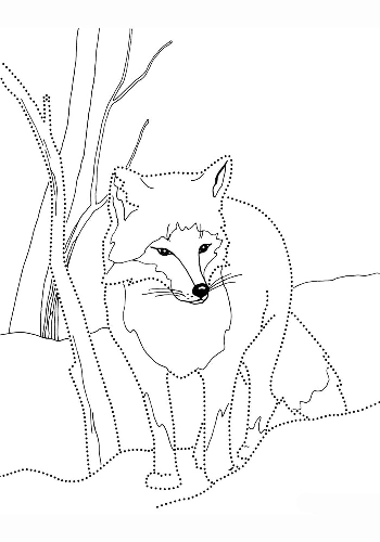 Fox coloring pages. For kids.