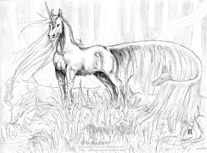 HD Unicorn Coloring Pages for Printing, 100 Images