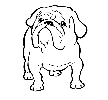 Dog Coloring Pages for Kids. Print Them Online for Free!