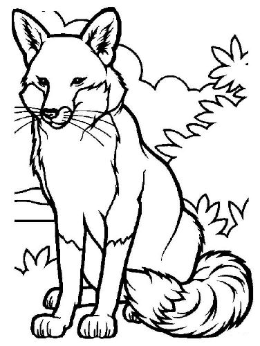 Coloriage renard. Pour les enfants