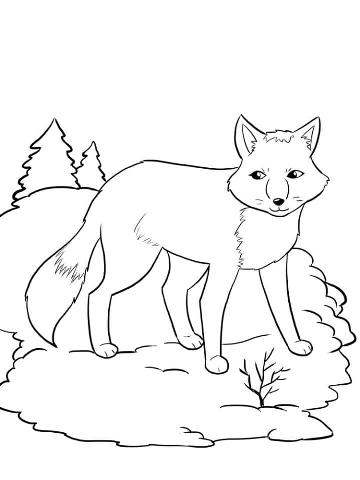 Fox coloring pages. For kids.