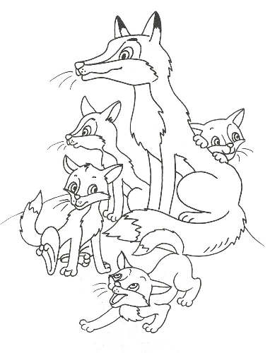 Fox coloring pages. For kids.