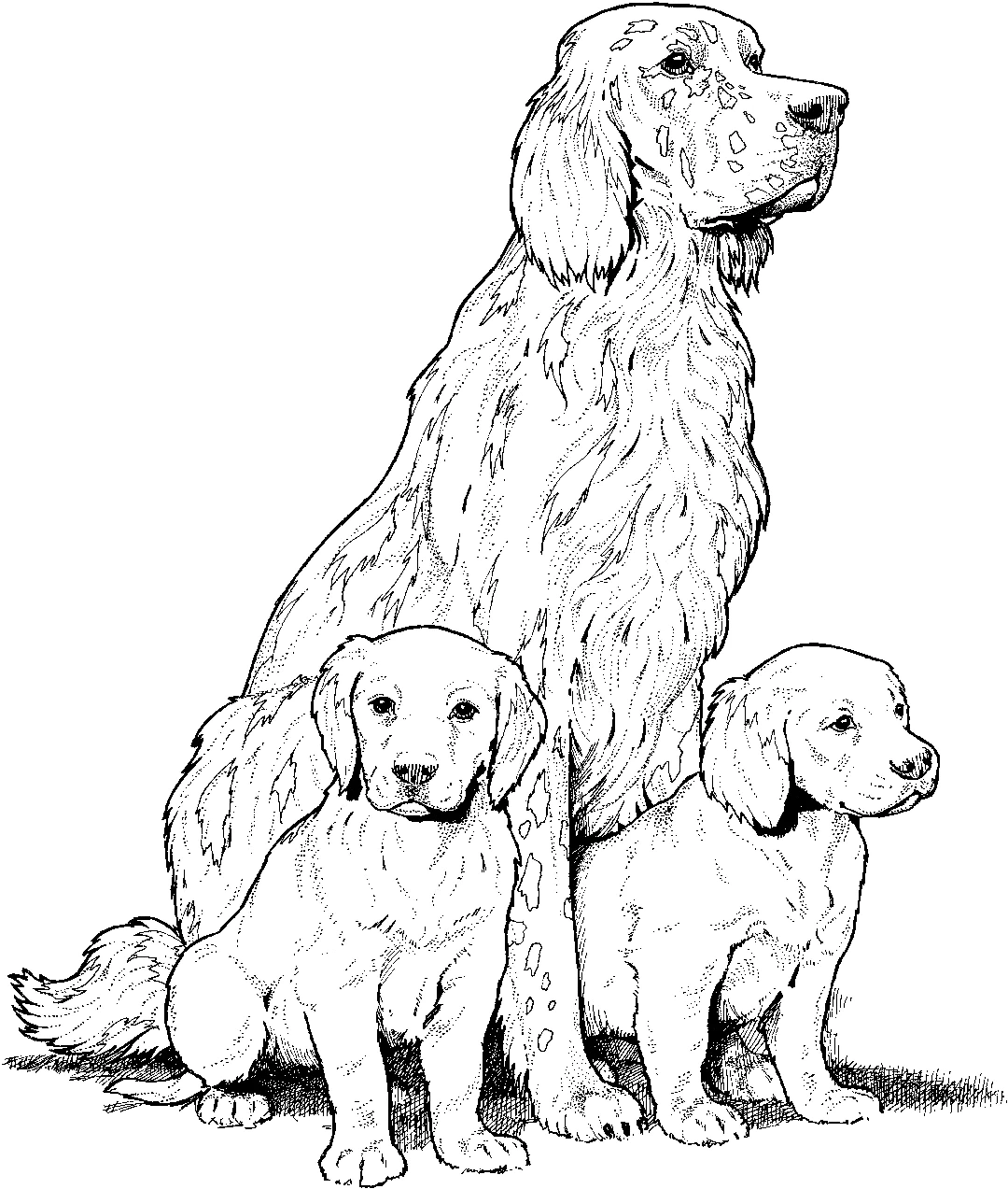 Dog Coloring Pages for Kids. Print Them Online for Free!