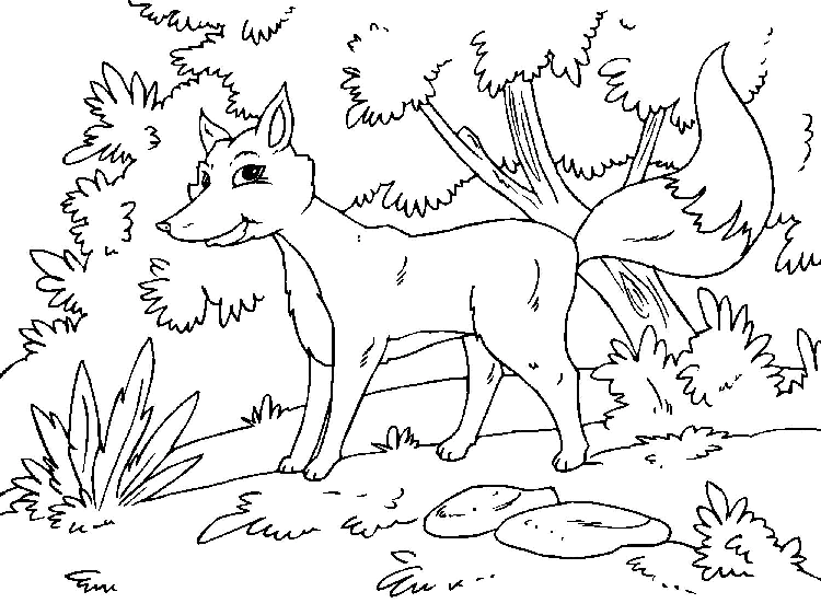 Fox coloring pages. For kids.