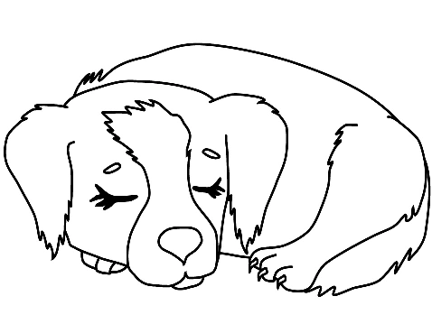 Dog Coloring Pages for Kids. Print Them Online for Free!