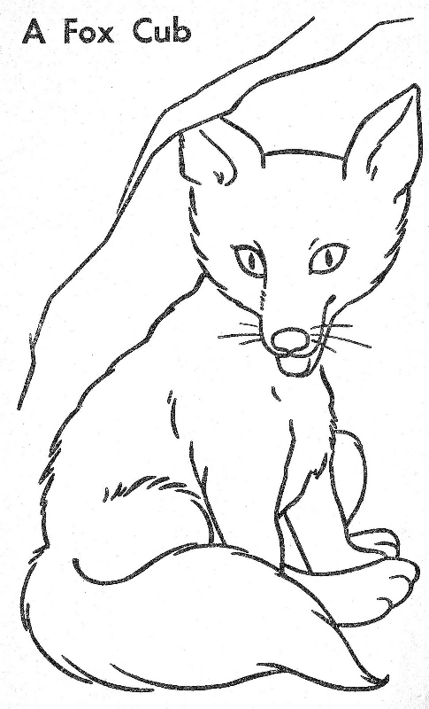 Fox coloring pages. For kids.