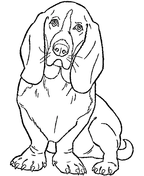 Dog Coloring Pages for Kids. Print Them Online for Free!